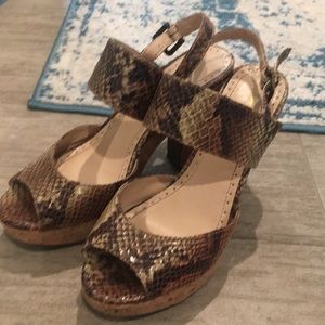 Adrienne vittadini sz 6.5